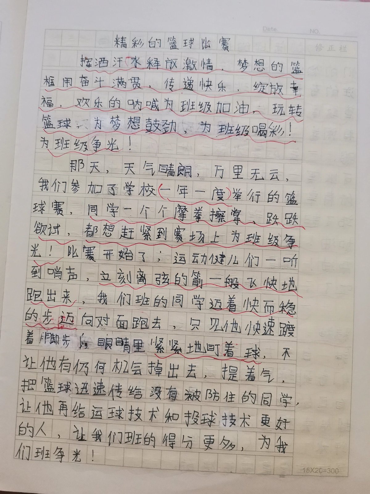 篮球训练的自我评价怎么写